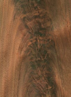 America Black Walnut Natural Wood Veneer Directo Cortado para Móveis e Pavimentos de Painel Fantástico em 0,18-0,55mm espessura