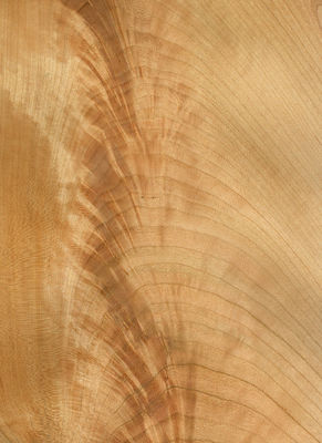 Folha de Veneer de Madeira de Cereza Natural Americana Flat Cut 2200-3200mm Tamanho Normal Para Decoração de Móveis