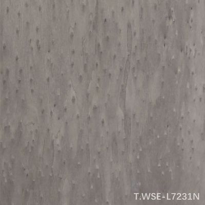 Novo design de madeira de madeira reconstituída revestimento de madeira de engenharia decorativa TSP-L0231N/l7231N Para o interior do carro 0,5 mm de espessura