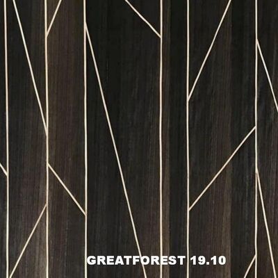 Parquet Artístico Veneer de madeira Geométrica Estética Popular Figura Geométrica 0.50mm Espessura Para Porta de Madeira