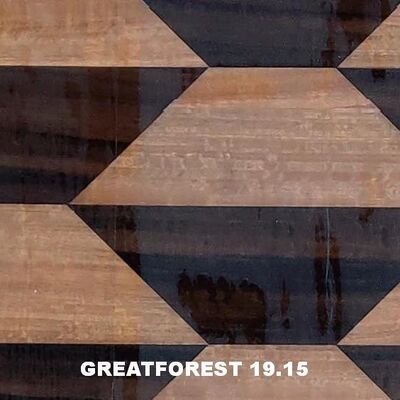 Parquet Artístico Veneer de madeira Geométrica Estética Popular Figura Geométrica 0.50mm Espessura Para Porta de Madeira