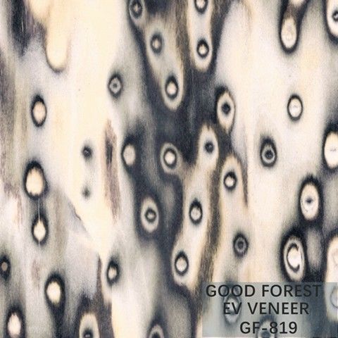 Tamanho de madeira projetado de Burl Wood Veneer EV 2500*640 milímetro da árvore do folheado