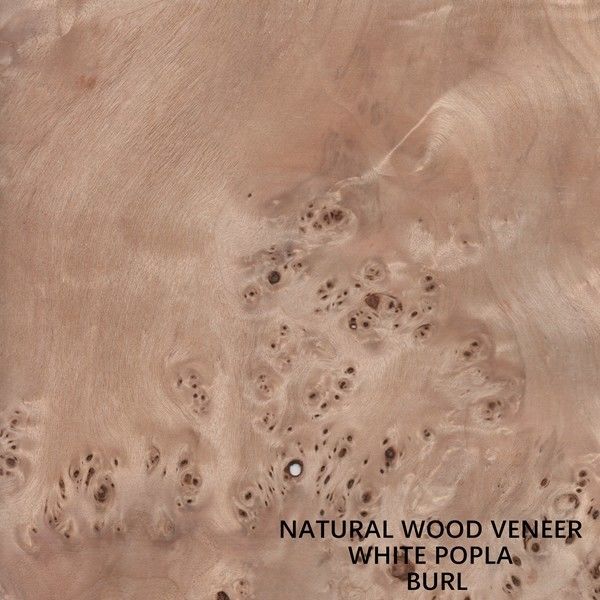 A madeira natural do álamo de Europa folheia Mapa Burl Grain High Quality Thickness 0.5mm para o instrumento musical