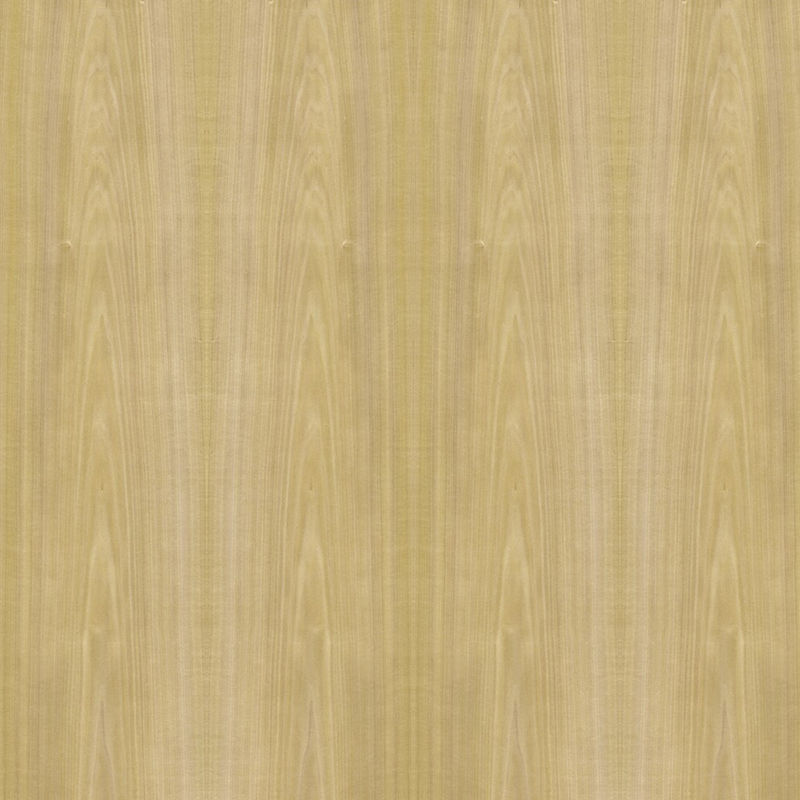 Álamo/Tulip Wood Veneer Fancy Chipboard enfrentados coroa 9 12 15 18 25 30mm 2440x1220mm