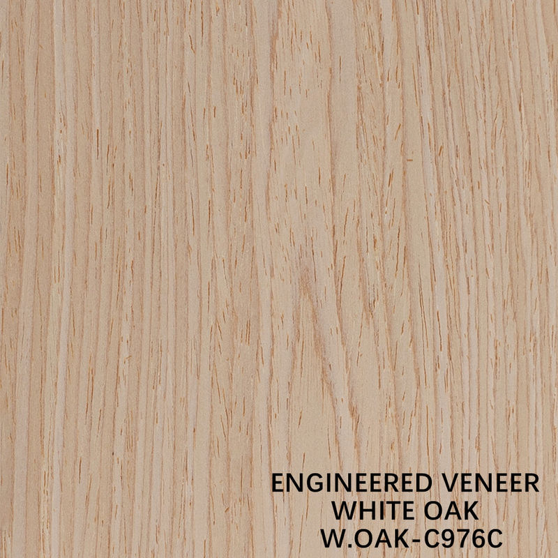 Reconstituição de madeira de engenharia decorativa Veneer Carvalho Branco 976C Crown Grain 0,15-0,55mm