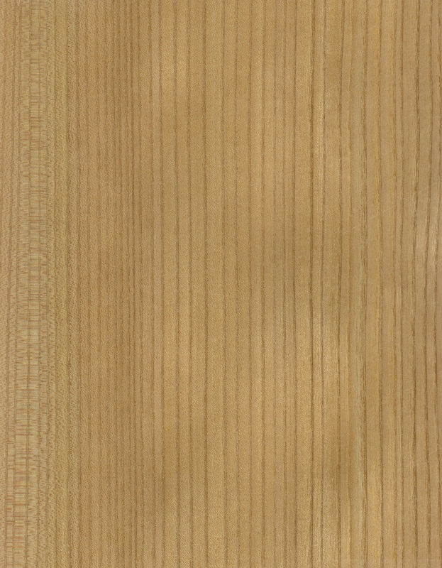 Madeira maciça folhas de olmo americano grau A para o quarto de corte coroa grão cor natural para porta rosto 3200mm para cima