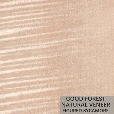 Sicômoro natural a madeira figurada folheia 0.3mm - 0.5mm para portas interiores