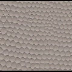 O lagarto decorativo esparadrapo Dermatoglyph do filme dos PP pode ser processo aplainado