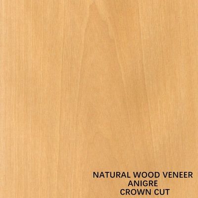 Decoração Madeira natural Anigre Veneer Corte plana Coroa Grão 0,18-0,55 mm espessura