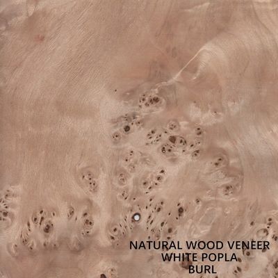 A madeira natural do álamo de Europa folheia Mapa Burl Grain High Quality Thickness 0.5mm para o instrumento musical
