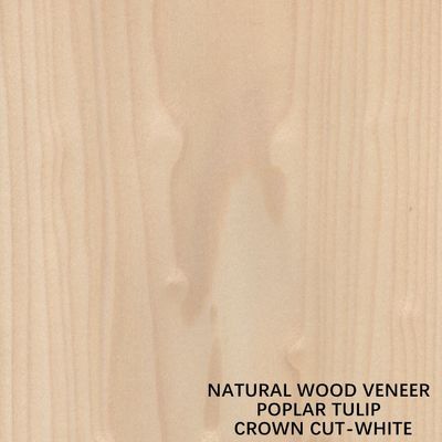 Tulip American Natural Poplar Wood folheia a coroa cortada lisa branca para portas