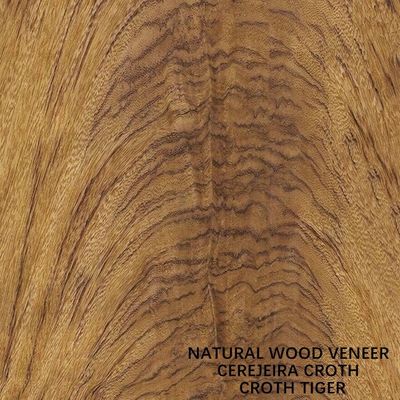 Grão natural de América Cherry Crotch Veneer Specially Tiger para a decoração do hotel