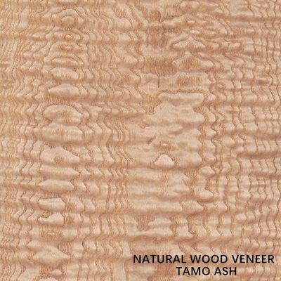 espessura Tamo Ash Veneer For Car Interior natural de 0.5mm e instrumento musical