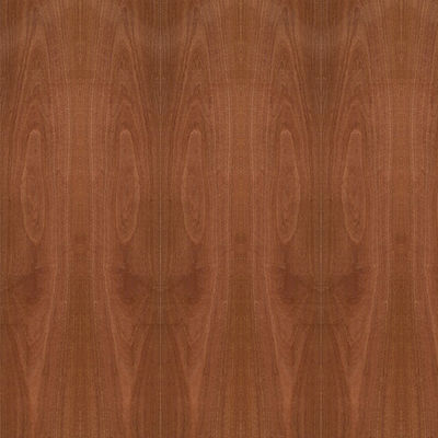 Grão de madeira natural 5 da coroa do folheado de Sapele da madeira compensada extravagante/9/12/15/18/25/30mm