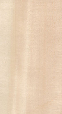 Real Wood Veneer Basswood Slice Cut para o tamanho 13cm Up Flat Cut Directo para o gabinete face sheet